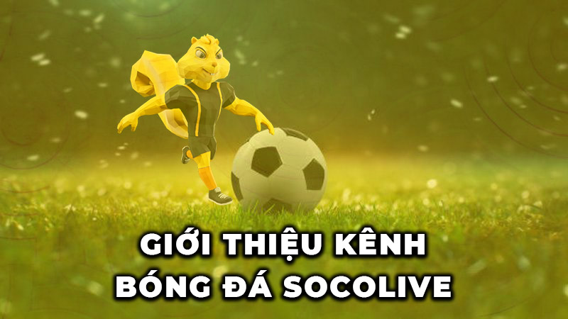 Socolive TV là kênh xem trực tiếp bóng đá chất lượng Socolive TV là kênh xem trực tiếp bóng đá chất lượng.