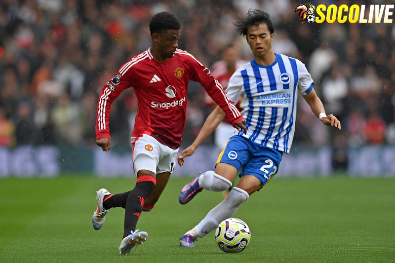 Manchester United sẽ đối đầu Brighton trên sân nhà tại vòng 22 Ngoại Hạng Anh