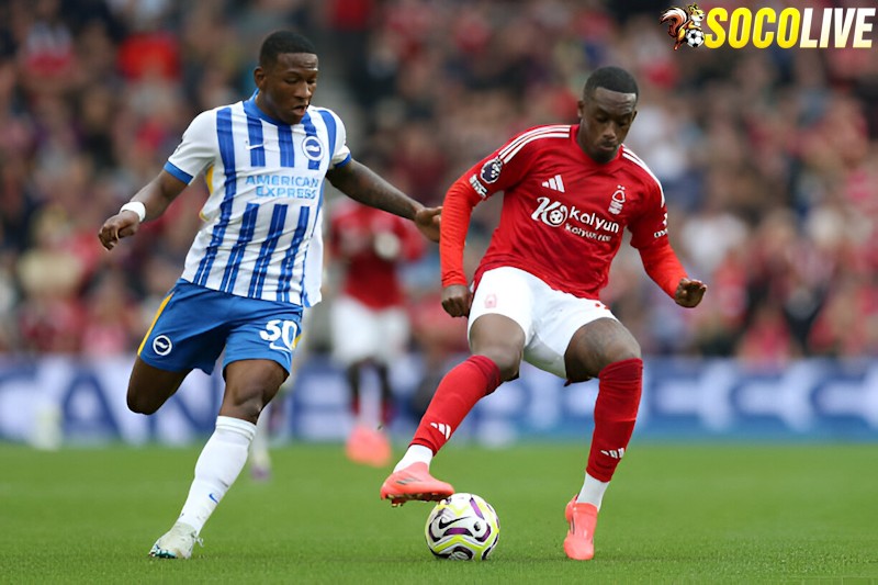 Nottingham sẽ đối đầu với Brighton trên sân nhà tại vòng 24 Ngoại Hạng Anh