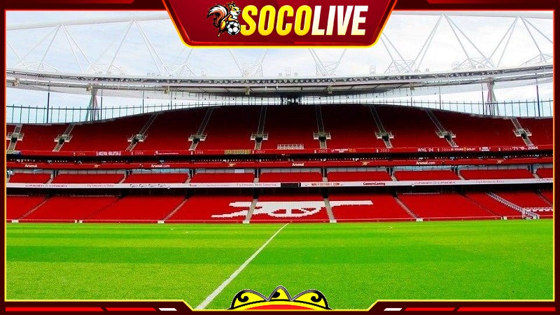 Mặt cỏ ở sân vận động Emirates Mặt cỏ ở sân vận động Emirates