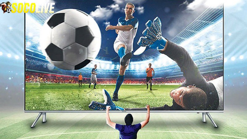 Giới thiệu chung về Socolive